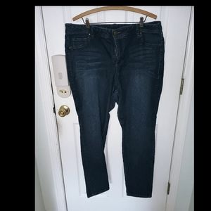 Avenue Denim Women’s 20 Straight Leg Stretch Jeans